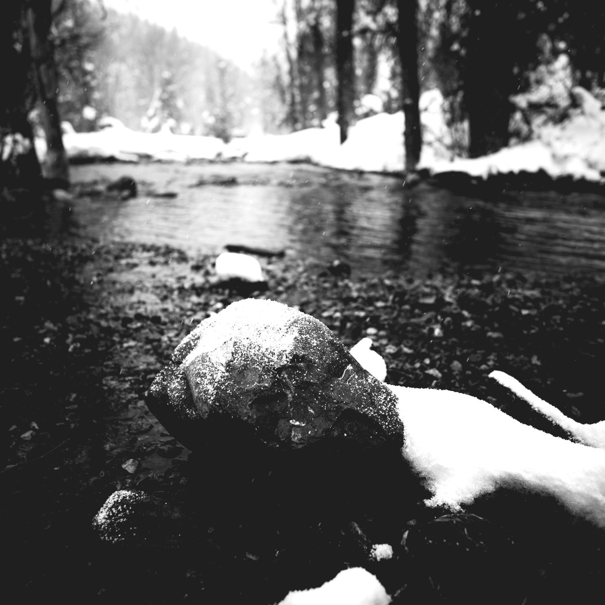 <a href="/A_ZofWonderment/">Toula Grayce Mavridou-Author & Photographer-No DMs</a> Happy #MonochromeMonday!