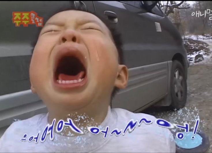 으아앙 날 잊지 않고 맘찍 남겨주는 마이 트친깅들...
보고 싶어 미치는 줄 알았슴미다 진심으로...