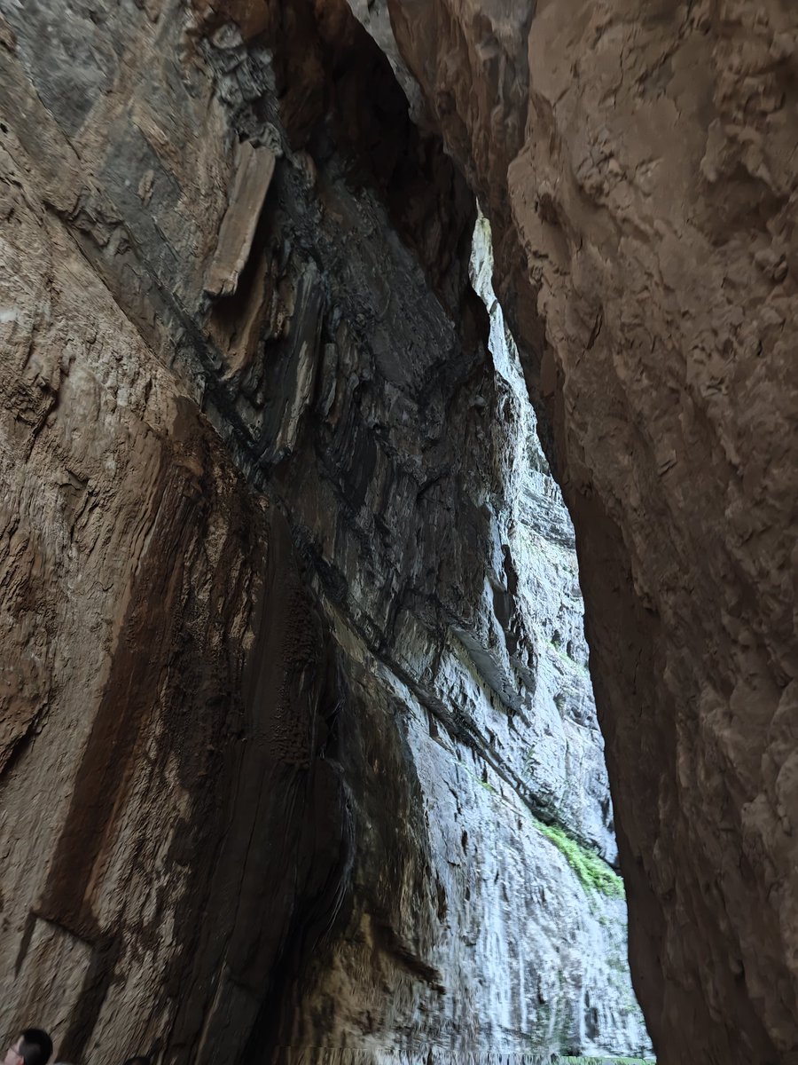 Spring_12347890's tweet image. 