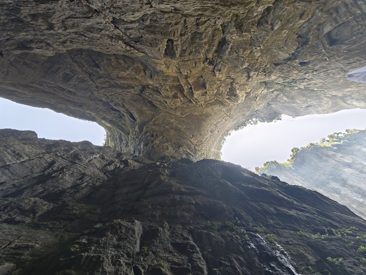 Spring_12347890's tweet image. 