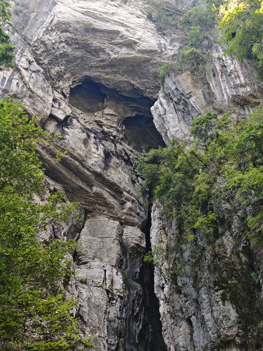 Spring_12347890's tweet image. 