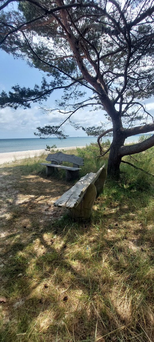 Grüsse gehen raus an alle "Sandflöhe" 
#Inselliebe
#rügen 
#vorsaisonistbestesaison