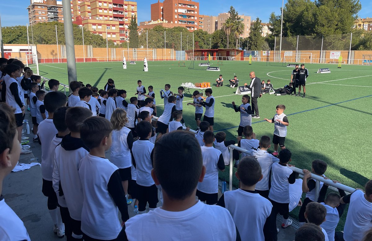 🆕 NOTICIA | Los campus de Pavón, Raúl Porras, Rubén Serrano y Domínguez, una oportunidad para los más pequeños. #Recre #Recreativo #SomosAlbiazules

☑️ El verano llega cargado de fútbol y recreativismo con campus en clave albiazul.

🔗 albiazules.es/16062025-veran…