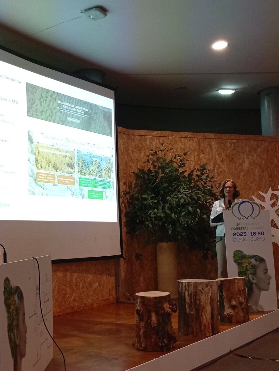 Fuego_lab's tweet photo. Ana Daría Ruiz @CampusTerraUSC nos muestra en @congresoforesta #9CFE la calculadora de modelos de combustible en Galicia desarrollado en la PdC #VIS4FIRE coordinado por ICIFOR @INIA_es https://t.co/SqIU6hu6PW