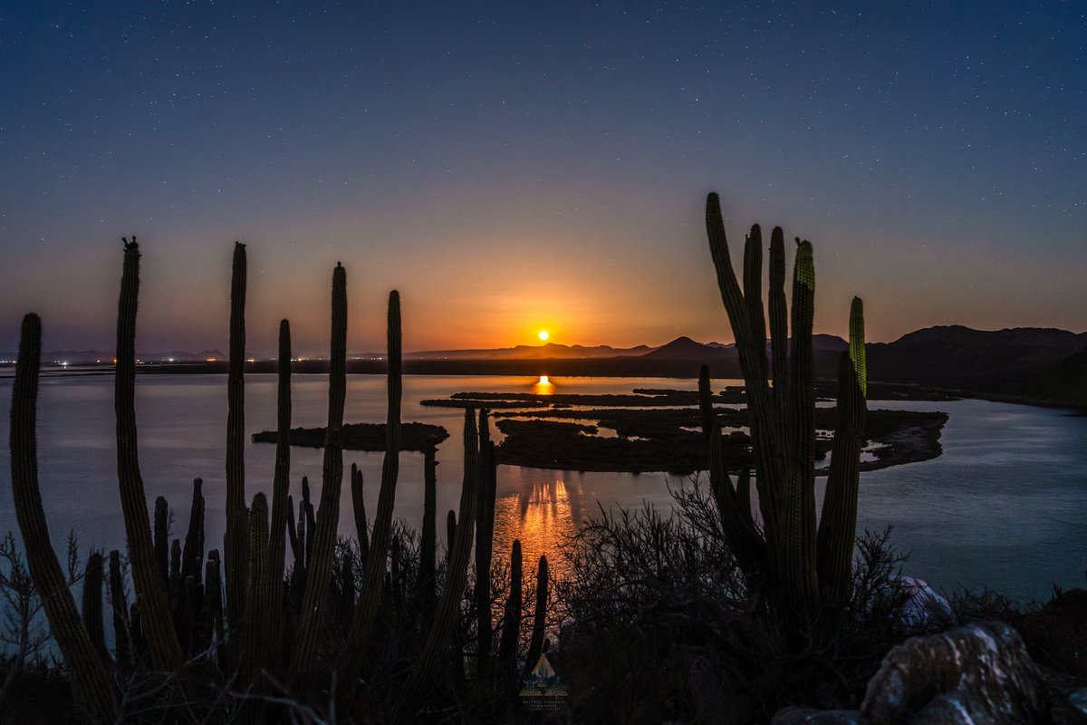 Simplemente Tastiota. 
Pueblo pesquero de la costa de Hermosillo, Sonora. ❤️🌵