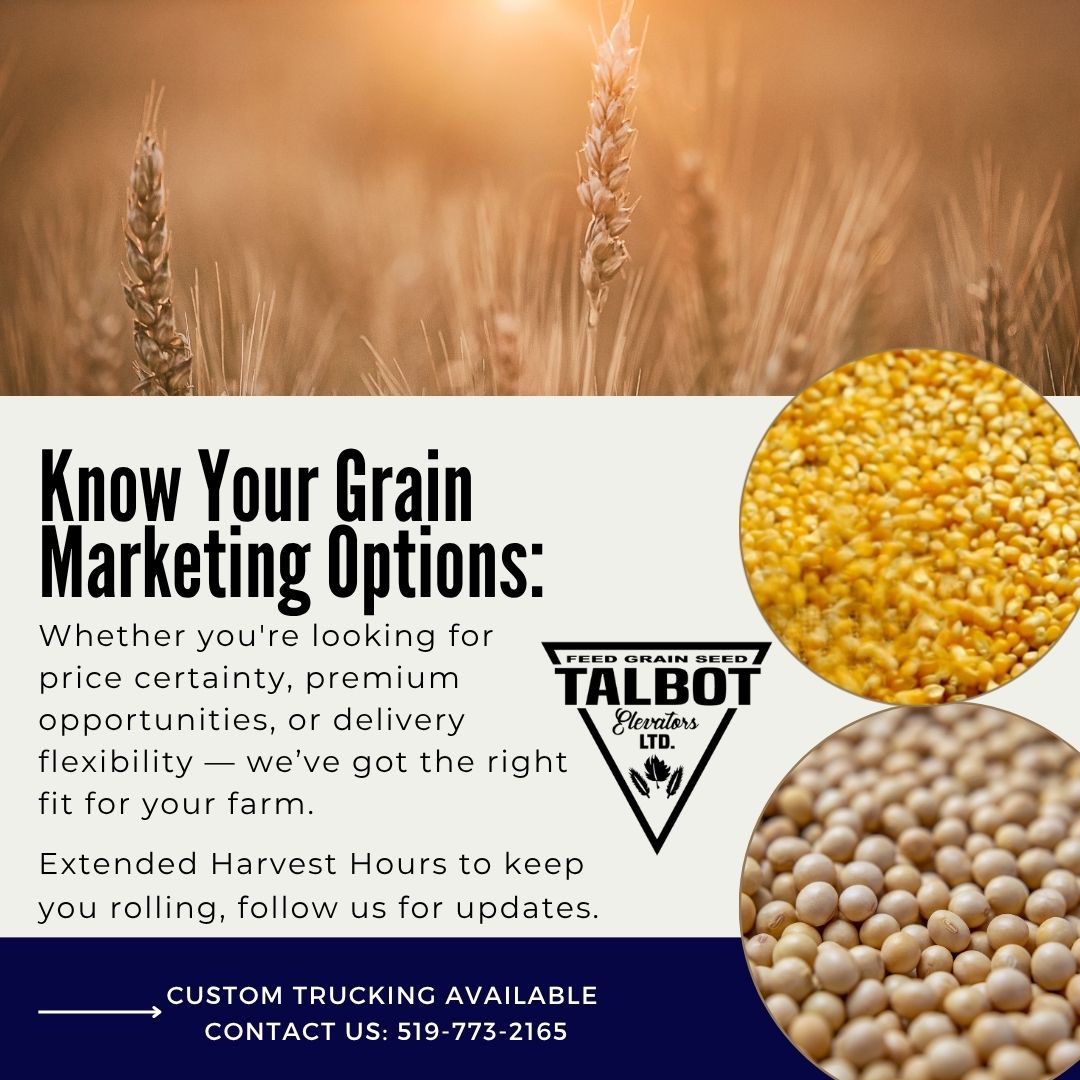 Know Your Grain Marketing Options
At Talbot Elevators Ltd, we offer a range of grain contract types to help you market your crop with confidence and flexibility.
TalbotElevators.com 
519-773-2165
office@talbotelevators.com
#feedgrainseed #grainelevator #graincontracts
