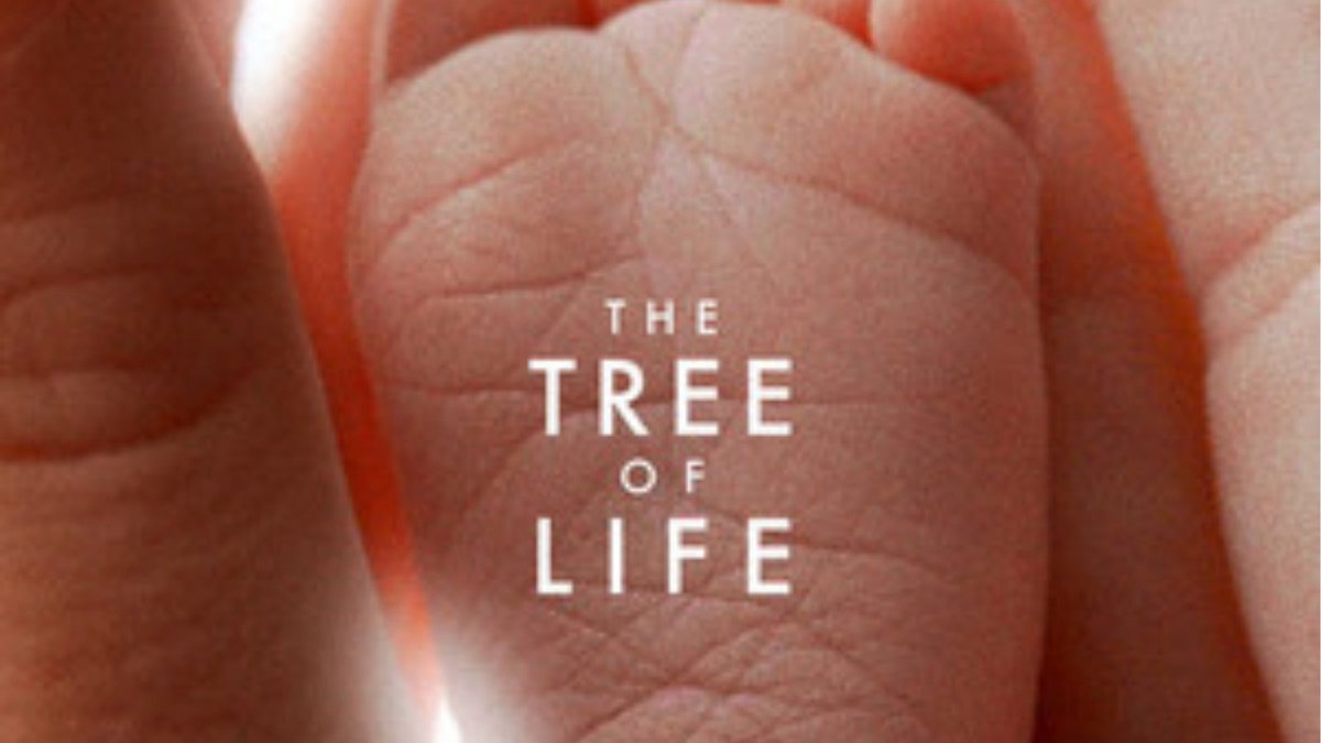 plan_sequences's tweet photo. ✨Critique de The Tree of Life✨

🎥Réalisé par Terrence Malick
📅2011
🥲Drame, fantasy

🔽Thread🔽 https://t.co/SbBabgJkLD