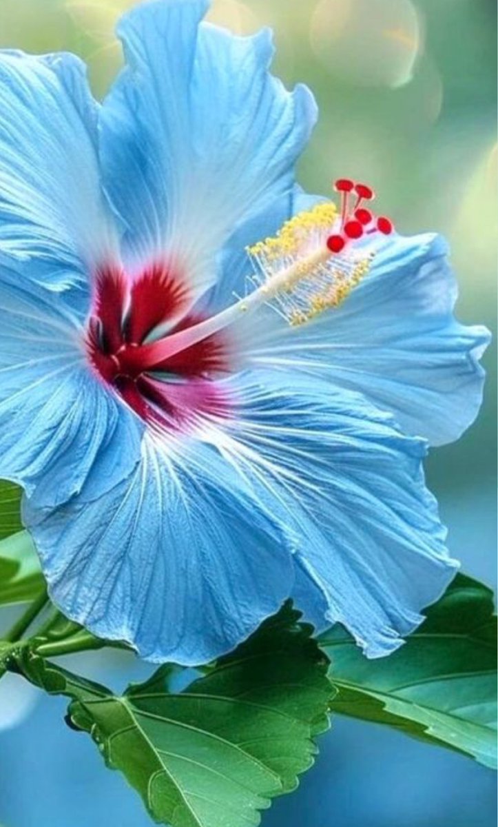 Happy noon Carlos 🟦🍒🔷☘️🟩 Enjoy a beautiful new week ahead