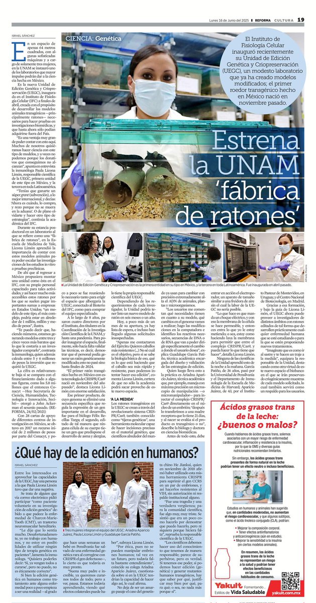 Israel Sánchez (@israelgrim) on Twitter photo La UNAM ya tiene su propia "fábrica de ratones" modificados genéticamente, inaugurado en el <a href="/IFC_UNAM/">Fisiología Celular UNAM</a>.
Cualquier autoridad con visión invertirá lo que haga falta para que este modesto laboratorio sea el principal proveedor de estos modelos no sólo en el país, sino en la región. La UNAM ya tiene su propia "fábrica de ratones" modificados genéticamente, inaugurado en el <a href="/IFC_UNAM/">Fisiología Celular UNAM</a>.
Cualquier autoridad con visión invertirá lo que haga falta para que este modesto laboratorio sea el principal proveedor de estos modelos no sólo en el país, sino en la región.