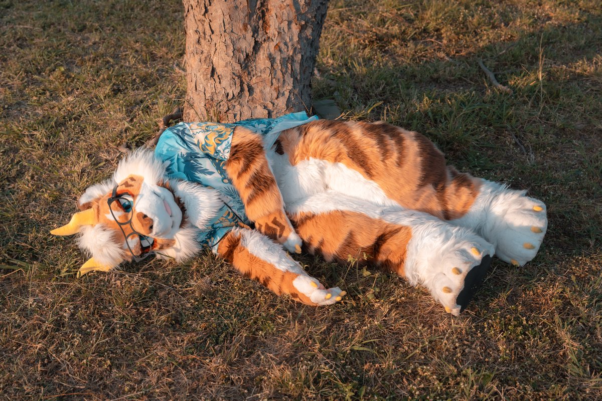 雷默LeiMo tweet media