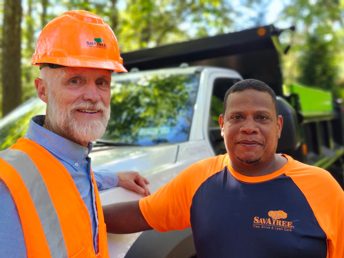 SavATree tweet media