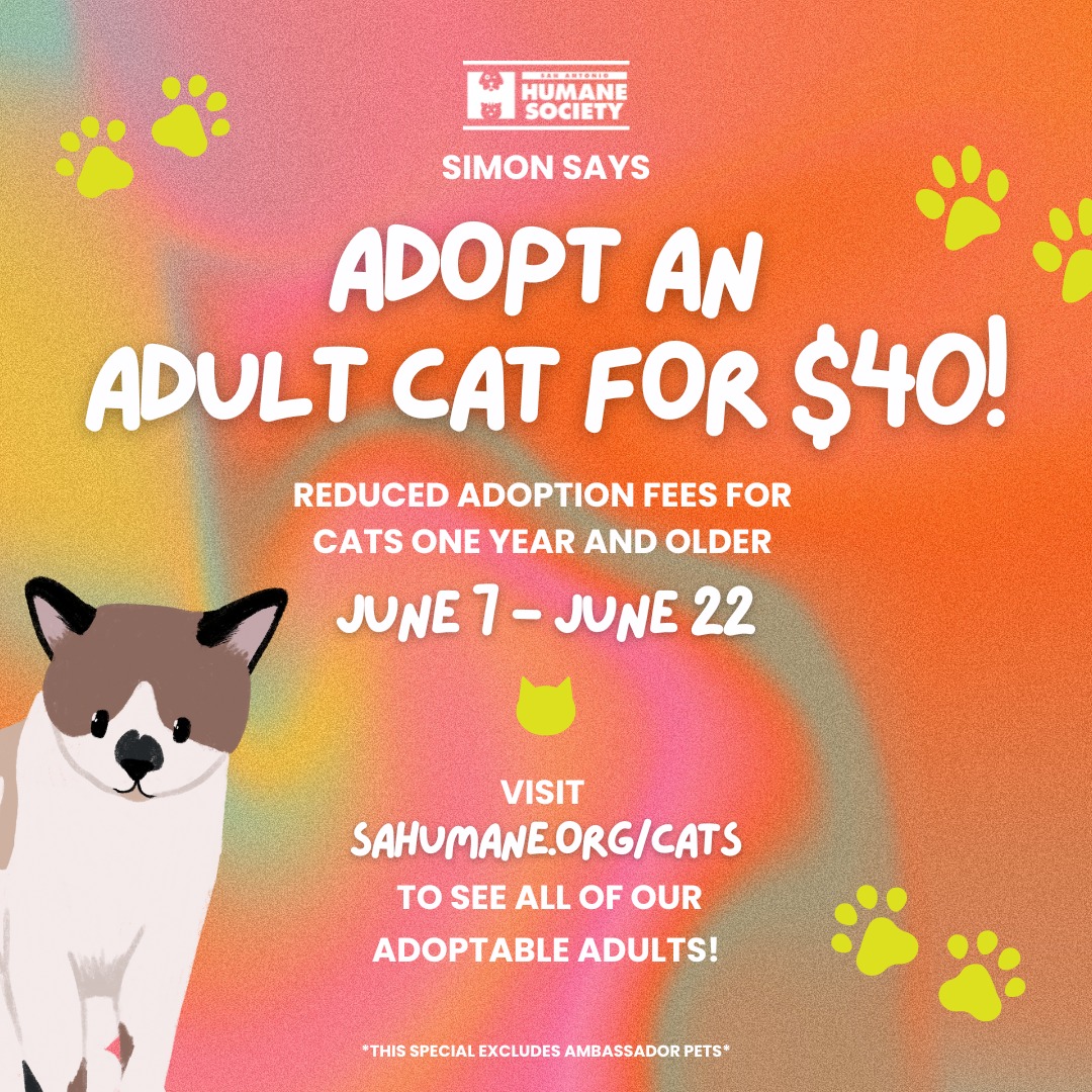 In honor of National Cat Month, all of our adult cats' adoption fees will be reduced to just $40 through Sunday, June 22!  If you've been looking for a new feline  friend to join your family, now is the perfect time to stop by the SAHS  and adopt. 😊