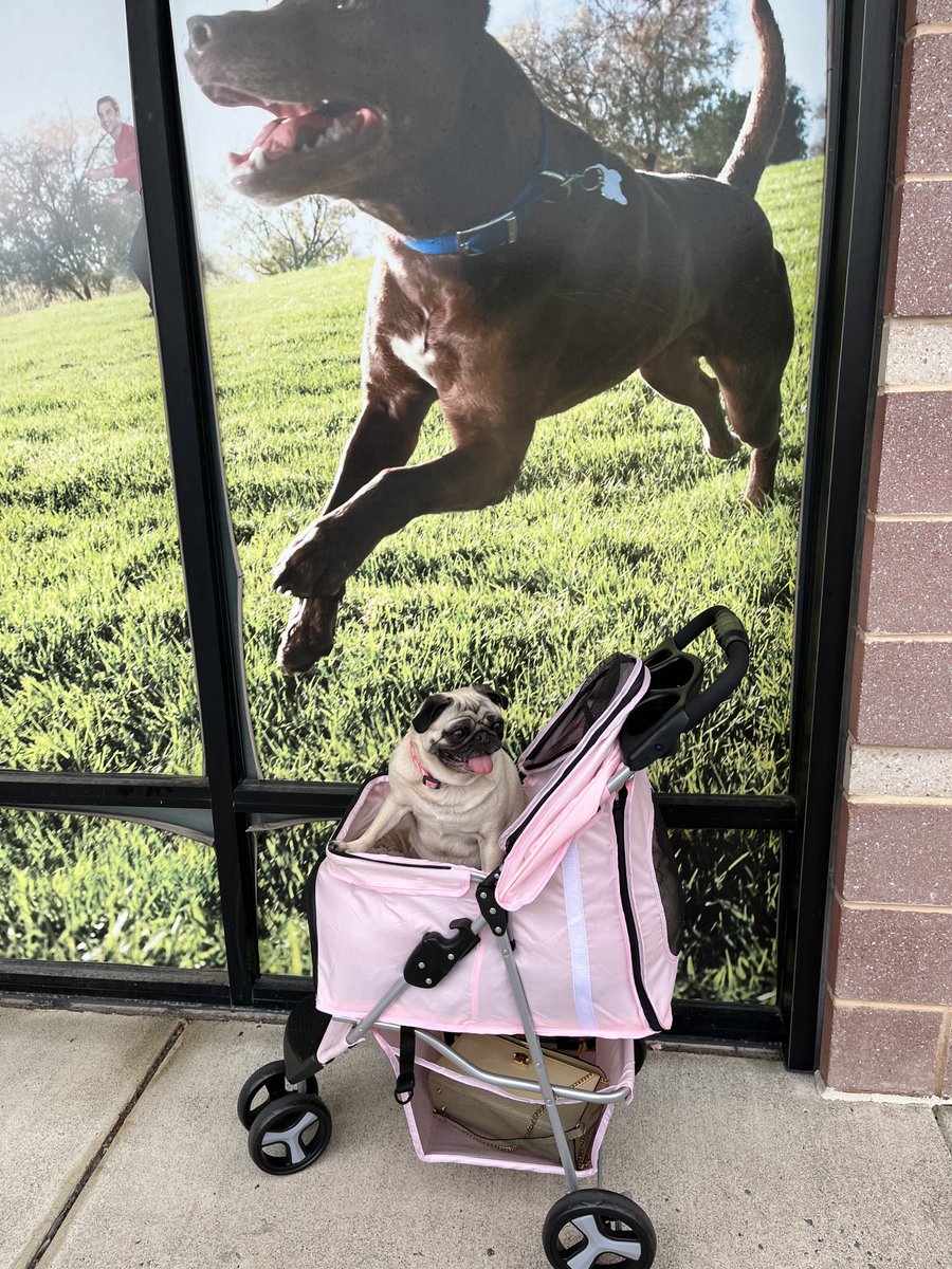 Spa day with my Megan at Petco.