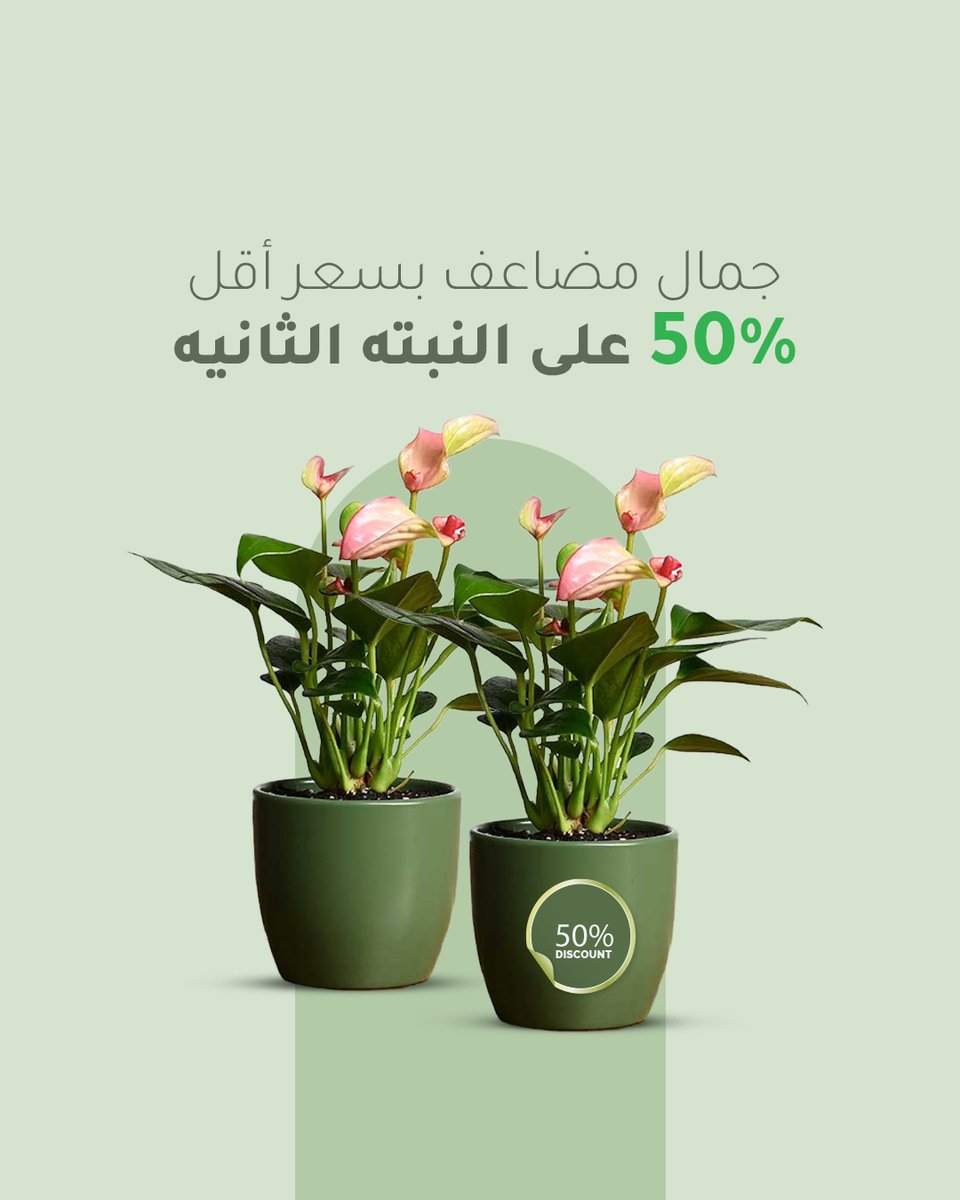 نباتاتي tweet media