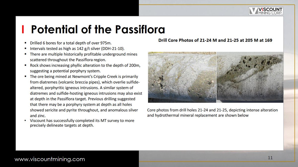 ViscountMining's tweet image. We believe there is immense potential at the Passiflora. In drilling 6 bores for a total depth of over 975 m we have found intervals that tested as high as 142 g/t #silver (DDH-21-10). Click to learn more.
👉 viscountmining.com/wp-content/upl…

#mining #geologyrocks