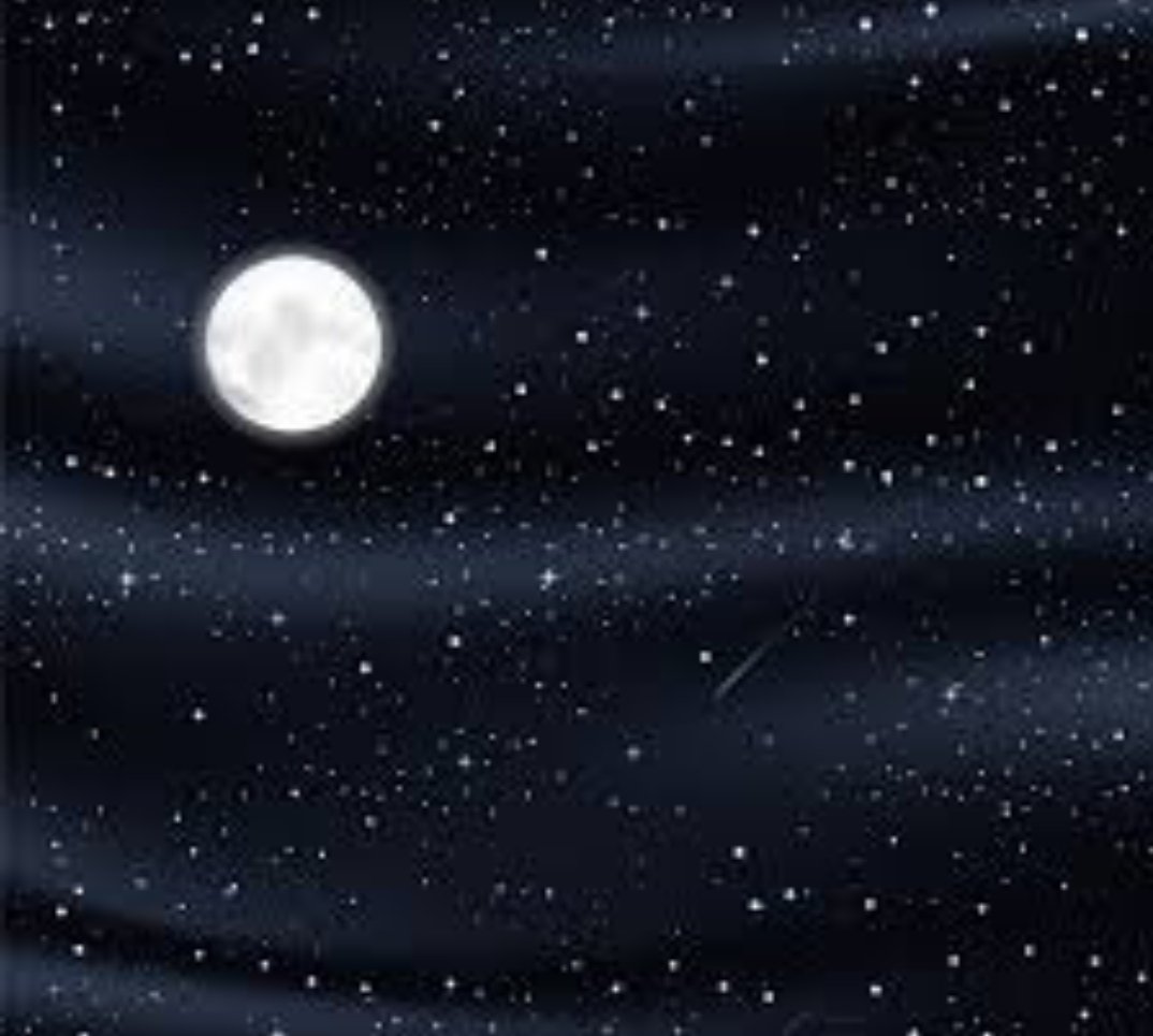 Millet viski üzümlü kek para peşinde koşarken o sıra Poyraz