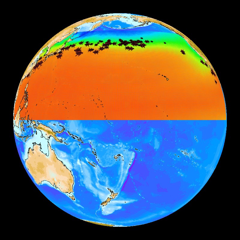 NOAANCEI's tweet image. 🐢 Happy #WorldSeaTurtleDay! Did you know NCEI scientists created the Beaching Probability Index (BPI) to help researchers understand why sea turtles become injured/sick? Learn more at: bit.ly/TurtleBPI