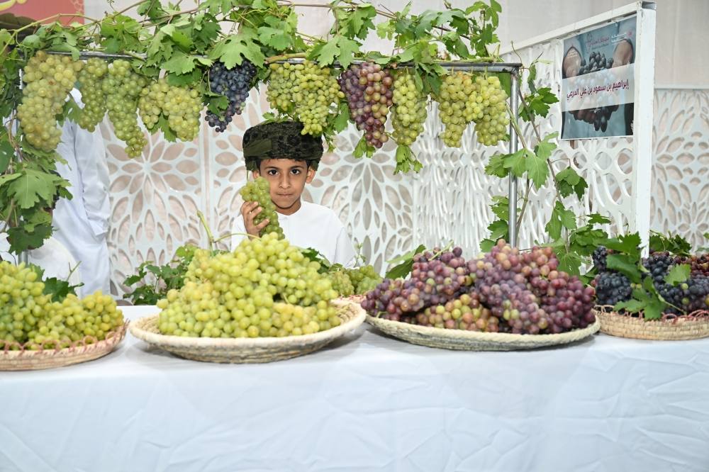 مهرجان العنب بشمال الشرقية يطلق أصنافًا جديدة ومزارع نموذجية 

#جريدة_عمان
omandaily.om/article/1180650