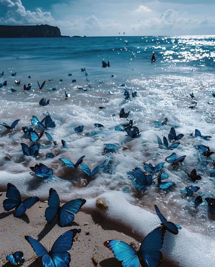 blue dream (@bluedreamvibes) on Twitter photo 