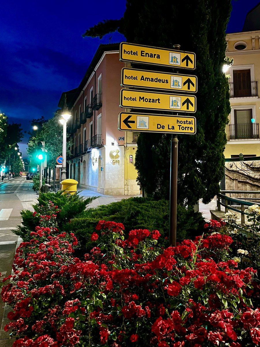 Basta de discutir el soterramiento. Lo que realmente necesita Valladolid es que el Hotel Enara cambie el nombre a Hotel Wolfgang.