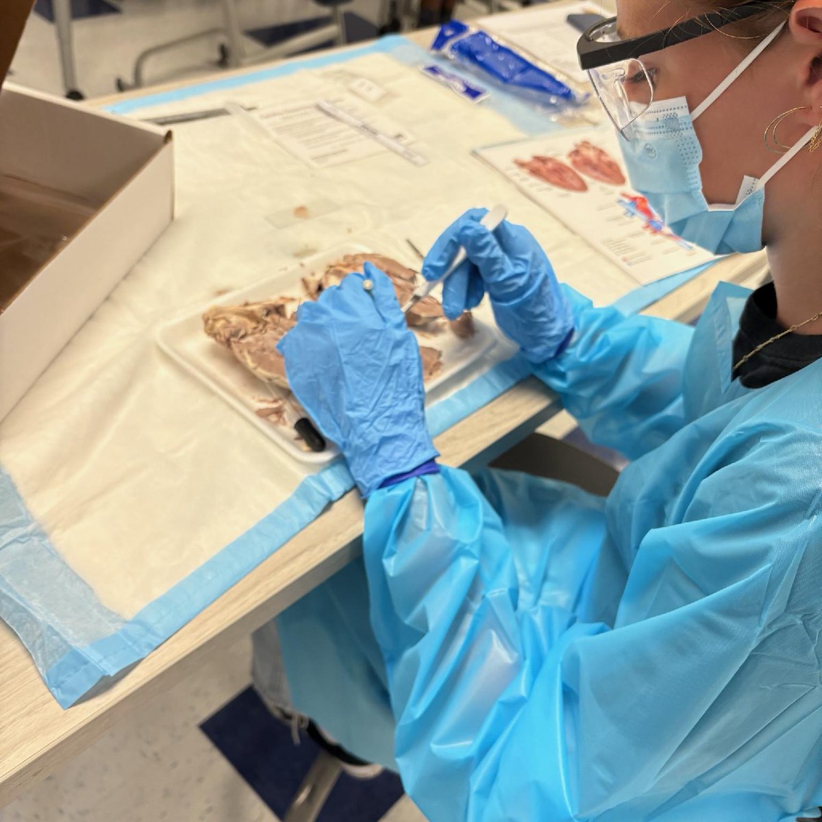 BCS students from North, South, &amp; West Brunswick kicked off day one of the Health Care Career Promotion summer camp. Students are spending the week learning more about careers in health care through hands on activities and field trips. 

#BrunswickBuilt #CTEforNC