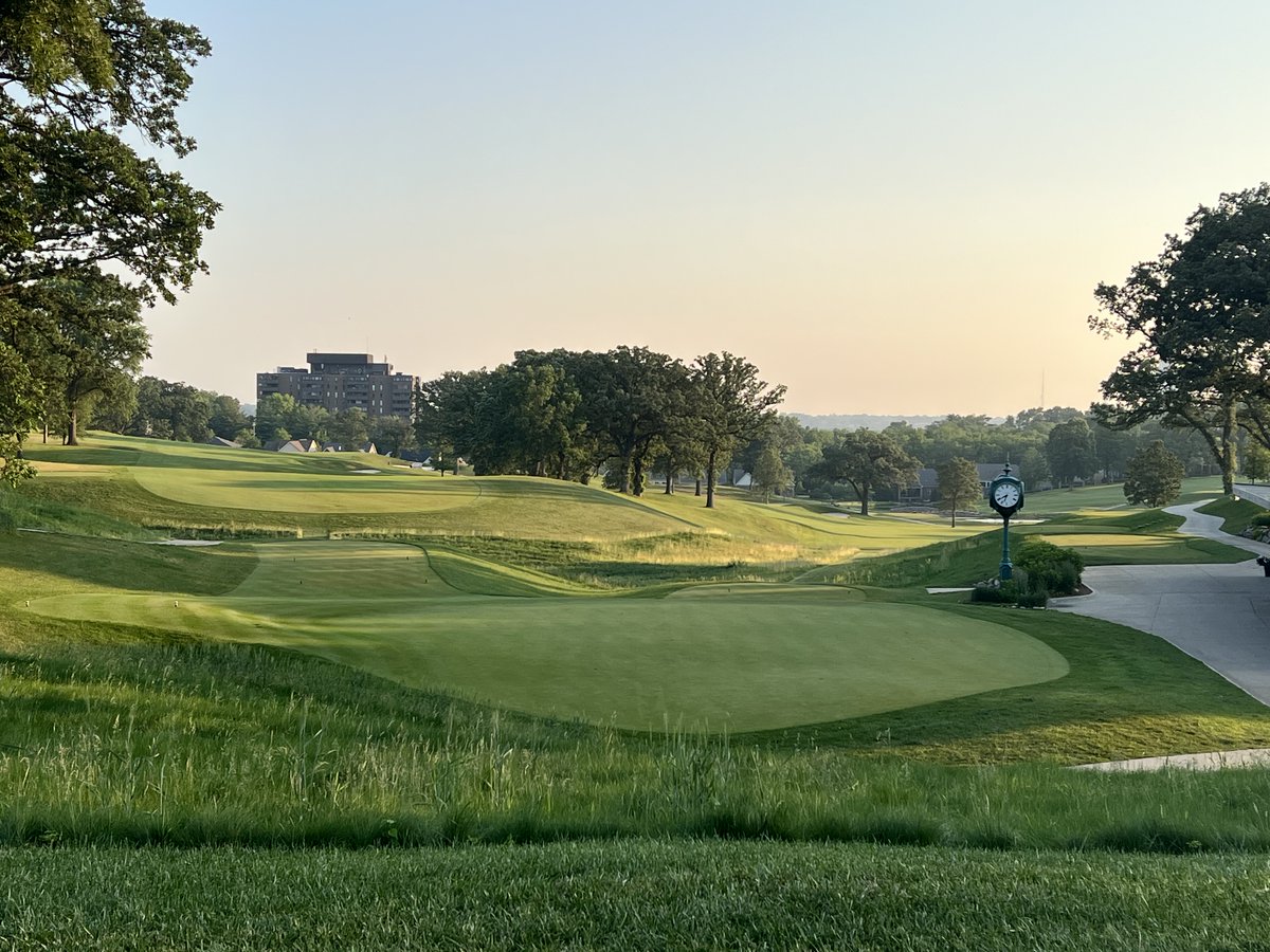 Molasses Kings tweet media