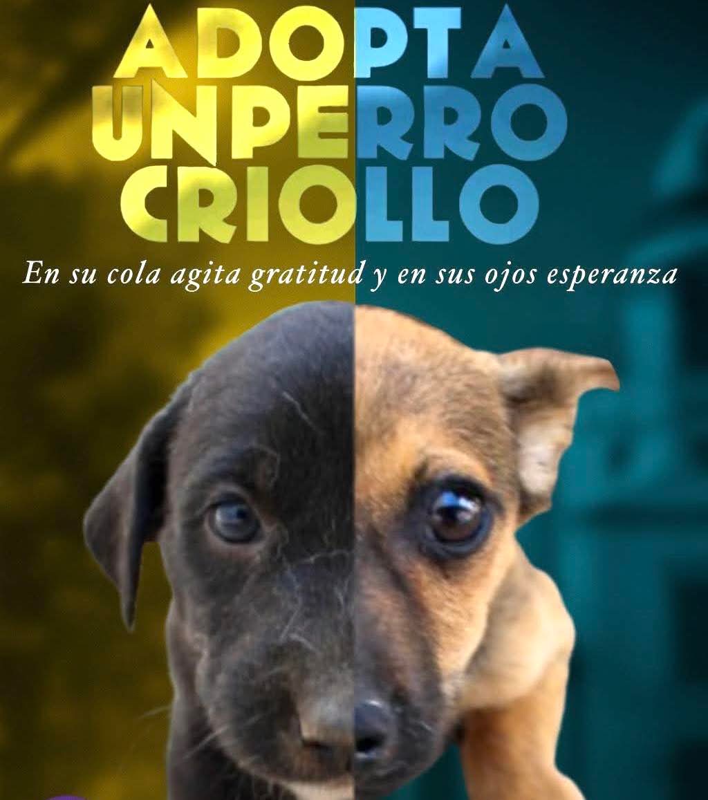 Nos comparten 
favor de difundir