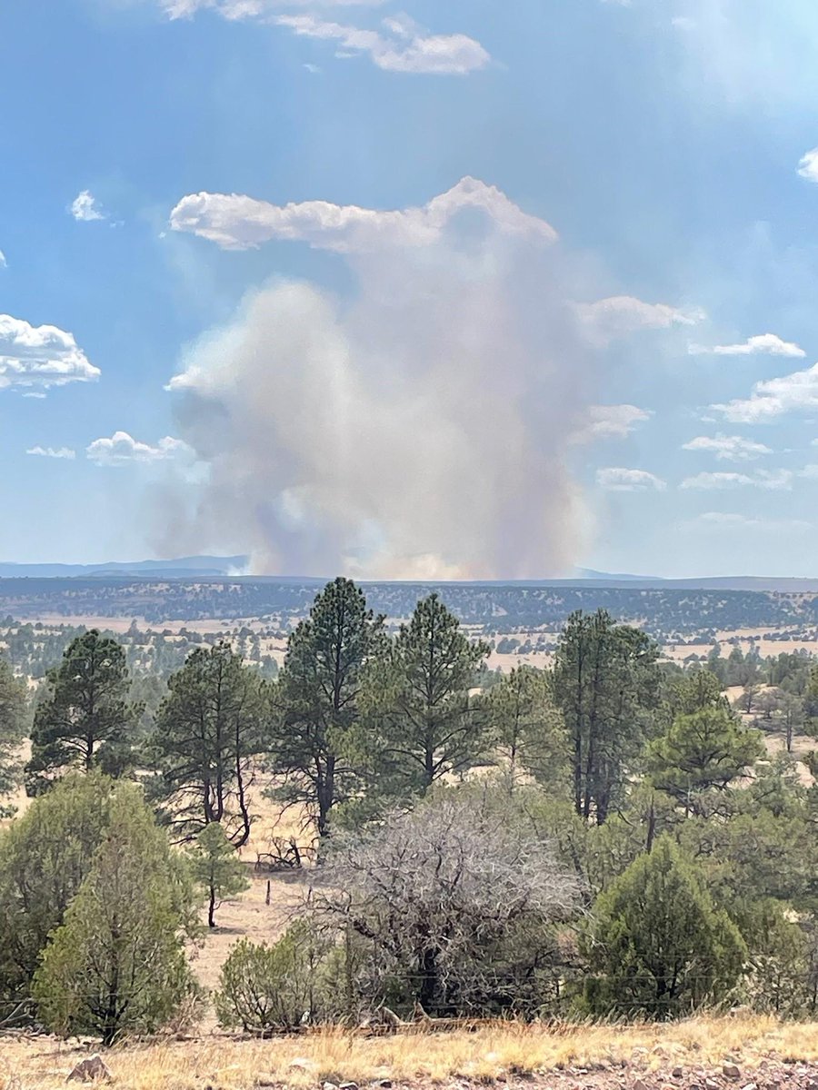 NWS IMET Operations (@nws_imet_ops) on Twitter photo . <a href="/NWSPueblo/">NWS Pueblo</a> IMET en route to #BuckFire near Reserve, NM #NMwx #NMFires <a href="/NWSAlbuquerque/">NWS Albuquerque</a> inciweb.wildfire.gov/incident-infor… . <a href="/NWSPueblo/">NWS Pueblo</a> IMET en route to #BuckFire near Reserve, NM #NMwx #NMFires <a href="/NWSAlbuquerque/">NWS Albuquerque</a> inciweb.wildfire.gov/incident-infor…