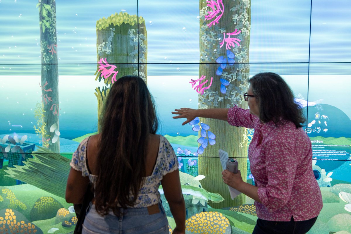 It’s o-🐟-ally time to learn about some of our favorite aquatic residents in our Pier 57 Discovery Tank! Learn about the different species of fish found in Hudson River Park! Visit us Wednesdays to Saturdays during Guided Gallery hours. For more info: hudsonriverpark.org/events