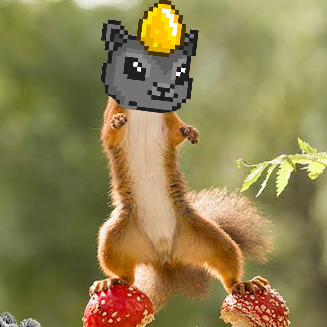 It’s the perfect balance 🐿️
To mint PNUT and hold it in 2025
pnut-base.nfts2.me
#NFT #BaseChain 
<a href="/base/">Base</a> <a href="/jessepollak/">jesse.base.eth</a>