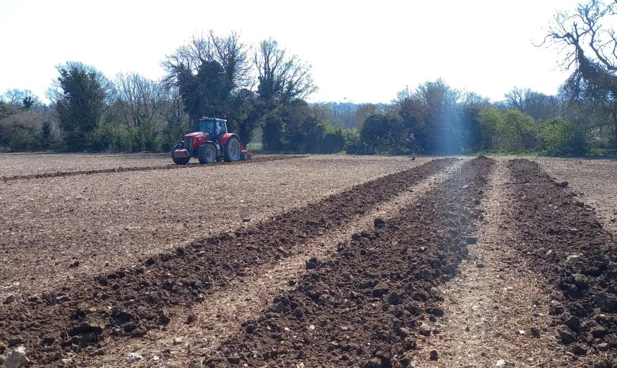 Do not disturb

🌱 Minimising soil disturbance during vineyard planting = healthier soils &amp; more resilient vines.

It’s not just a trend — it’s smart, sustainable practice.

#SustainableViticulture #UKWine #Vineworks #KelseyMedia