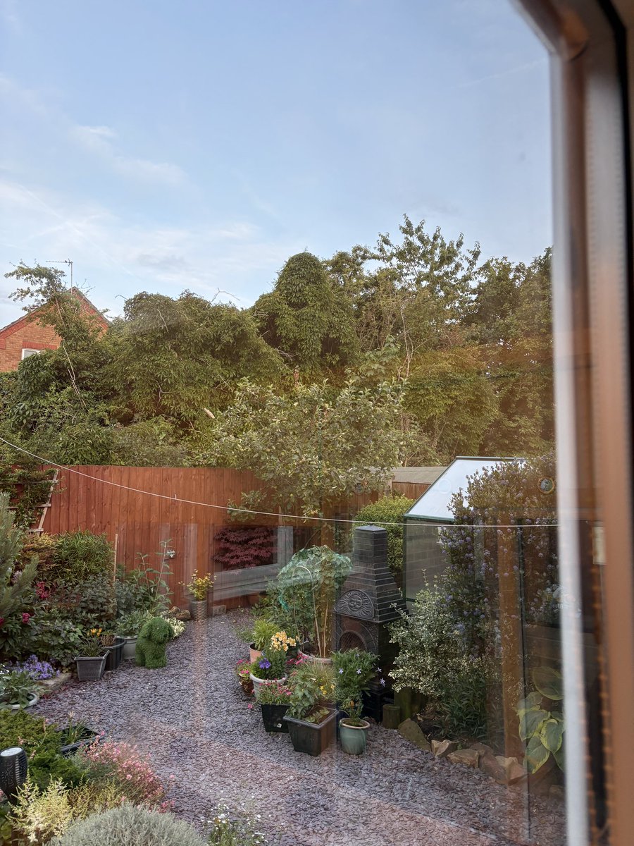 Kinnel it’s King Kong 😂