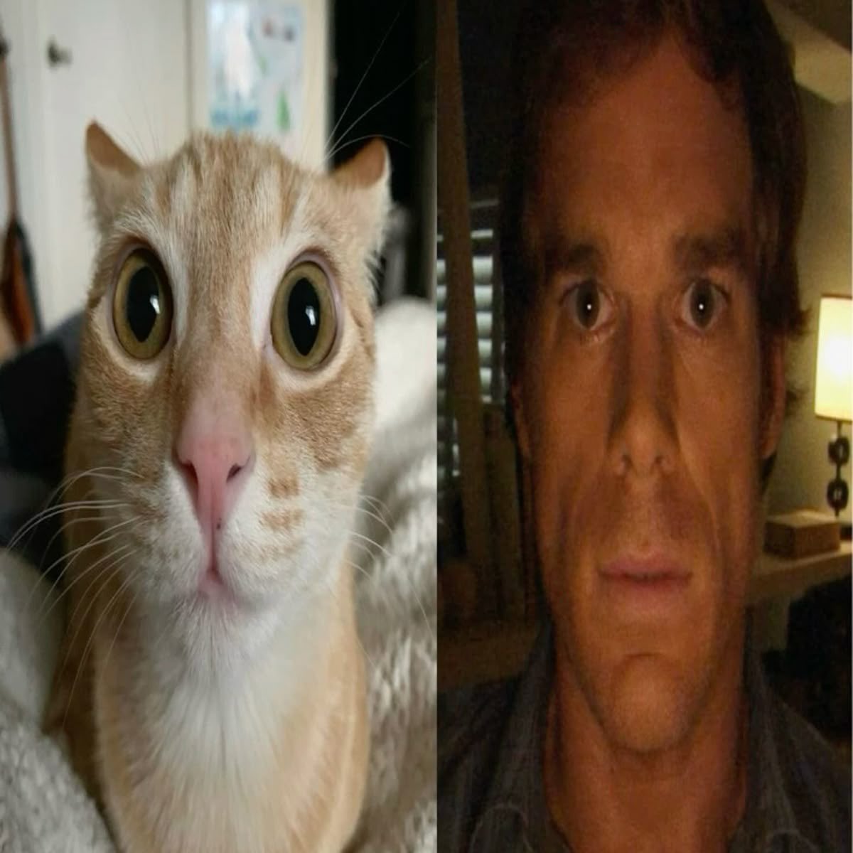 se eu vir lusíadas no exame eu vou estar literalmente assim.. por favor iave não faças isso