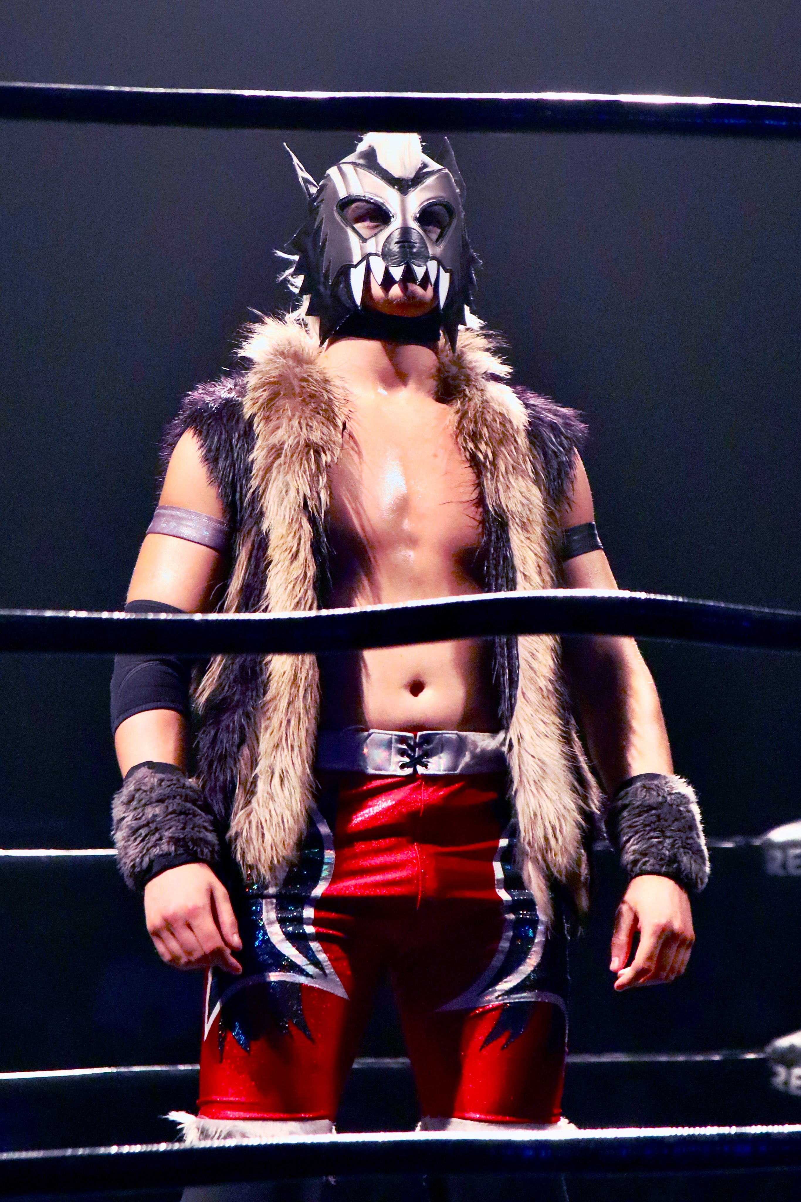 LUCHA LIBRE 写真集 プロレス デッドストック