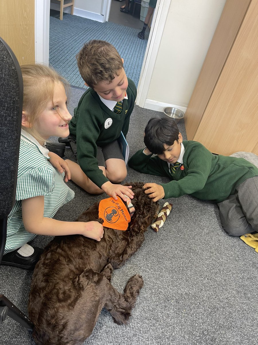 St Michael Catholic Primary School & Nursery (@stmichaels1953) on Twitter photo ๐พ๐งก Pendle working hard to support children in the school - Presley and Pendle are already firm fixtures in school ๐งก๐พ <a href="/TheDogMentorUK/">The Dog Mentor</a> ๐พ๐งก Pendle working hard to support children in the school - Presley and Pendle are already firm fixtures in school ๐งก๐พ <a href="/TheDogMentorUK/">The Dog Mentor</a>