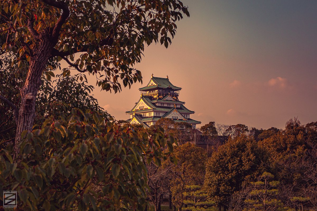 🏯 Osaka Castle

Osaka, Japan 🇯🇵

Photoshoot bookings are open. Message me if you want to work together 📸