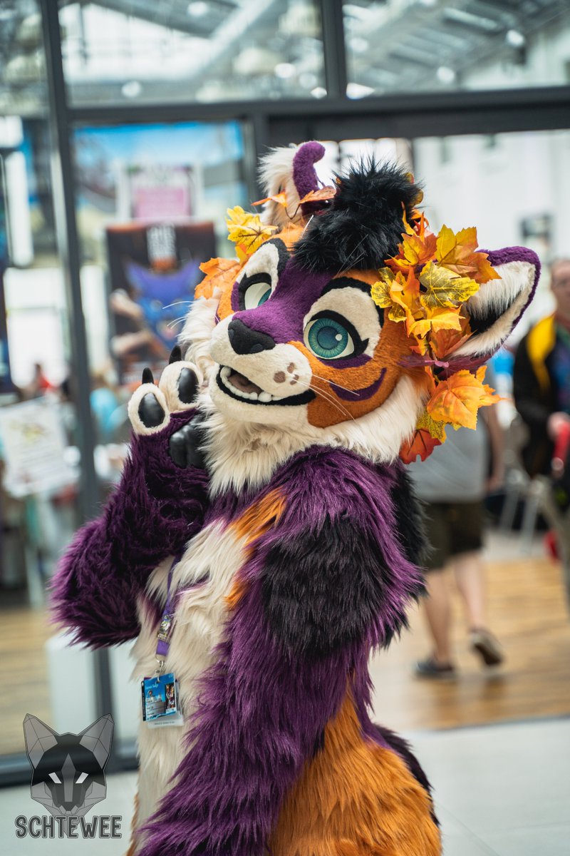 Werikane | Khalu𝑟𝑎 🍂 tweet media