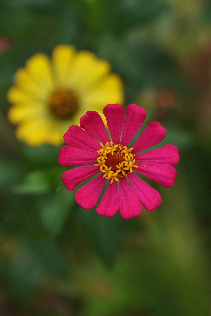 皆さん おはりん ☘️🕊

火曜日の朝 🌤
今日も猛暑日の関東 
です (｡⌓°꒷꒦⎞〜🔆

熱中症対策 万全に 𖠚໊⸝⋆︎
連日の暑さ…
疲れも中々とれません

無理せずお過ごし下さ
いね (人୨୧ᵕ̤ᴗᵕ̤)🎐

お仕事の方 - ̗̀📣𝗙𝗶𝗴𝗵𝘁·͜·♡

穏やかな日常を(˶ᐢᗜᐢ˶)*°

何時も有難う御座いま
す ⁎ᴗ