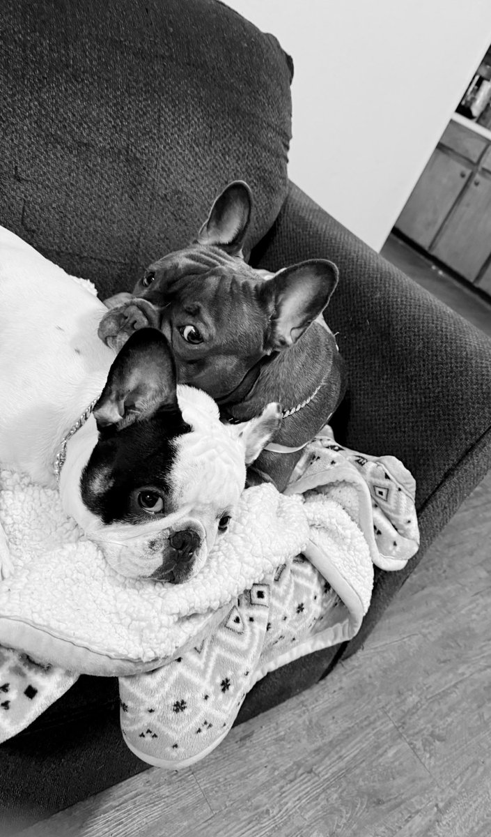 they stay beefing but god forbid they dont sleep next to each other! 🤣