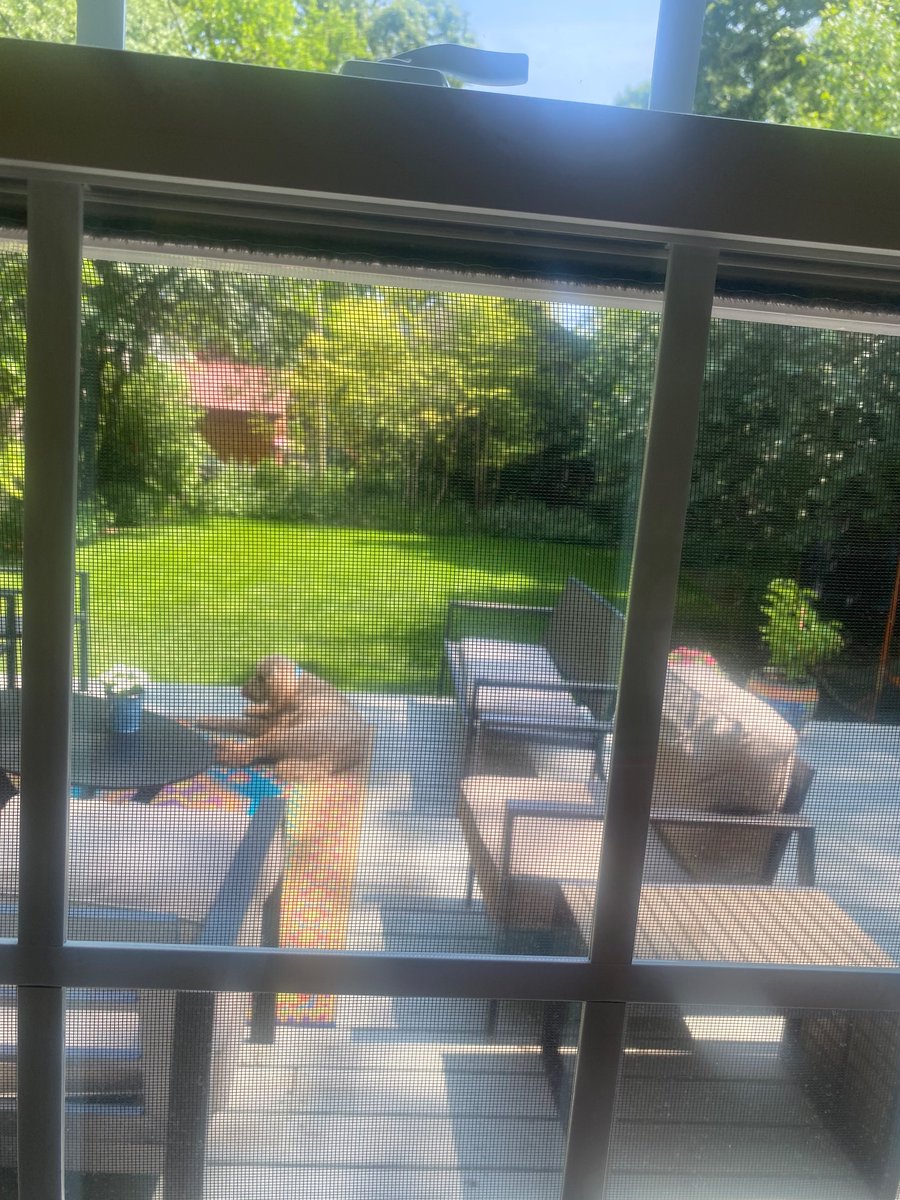 Home boy just catching a vibe out here ☀️