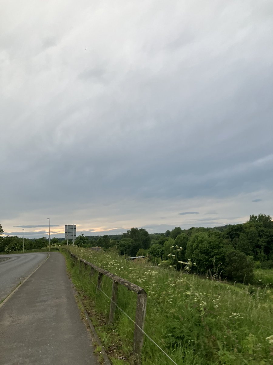 930pm and it is as bright as mid day someone needs to tell the sun it’s almost my bedtime