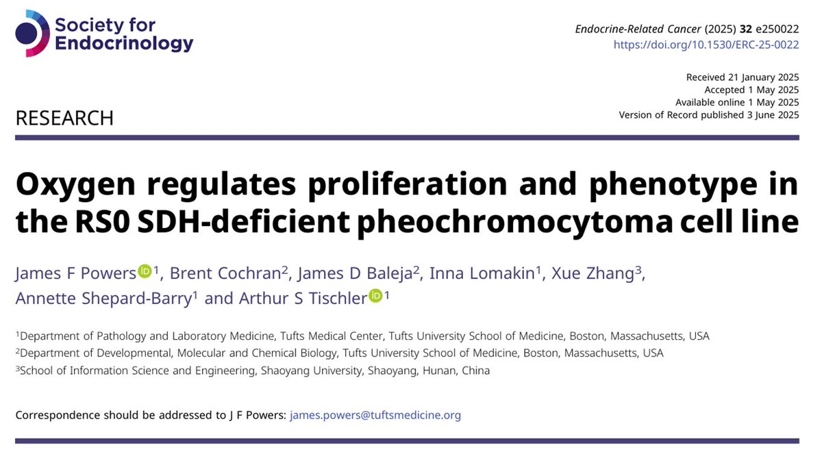 More 🔬related to #pheo #para #PPGL! 👏Grateful for the scientific community that has taken an interest in studying this fascinating #neuroendocrine disease. 👇 👇👇
erc.bioscientifica.com/view/journals/…
<a href="/EndoCancer/">Endocrine-Related Cancer</a> <a href="/EndoSocJournals/">Endocrine Society Journals</a> <a href="/Soc_Endo/">Society for Endo</a> <a href="/TheAACE/">AACE</a> <a href="/TheAAES/">American Association of Endocrine Surgeons</a> <a href="/TheEndoSociety/">Endocrine Society</a> <a href="/TuftsUniversity/">Tufts University</a>