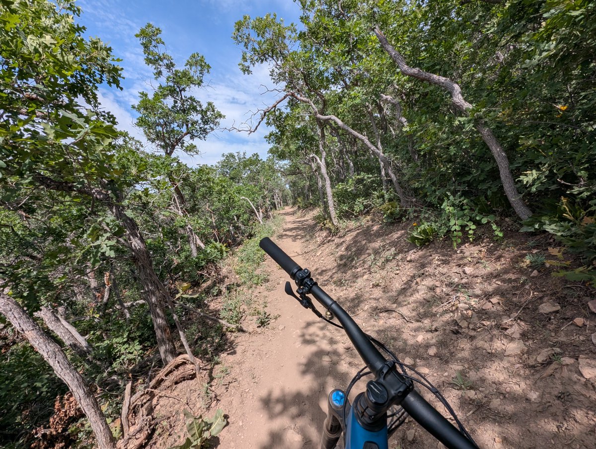 I learned an expensive lesson.

Before every ride, I check the pressure of my tires. (Tubeless tires offer many benefits, but one drawback is that they seem to leak more than an old-fashioned tube). I came back from a ride with a big dent in my rim.

How could that happen? I just
