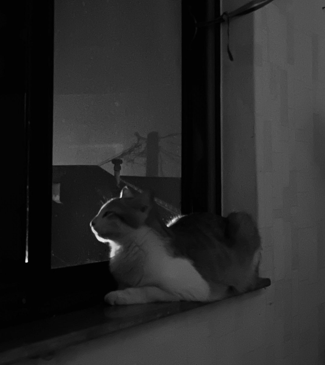 آدميزاد تو چنين لحظاتى بيشتر از قبل دلش ميخواد كه اون يه نفر كنارش باشه
هى فكر ميكنه اگه بود الان زندگى چطور بود؟ چقدر تنهايى بشر بزرگه..

مرا به خاطر دل شکسته ام ببخش
مرا که از ندیدن تو خسته ام ببخش
اگر به انتظار تو نشسته ام هنوز
به دیگری اگر که دل نبسته ام ببخش…