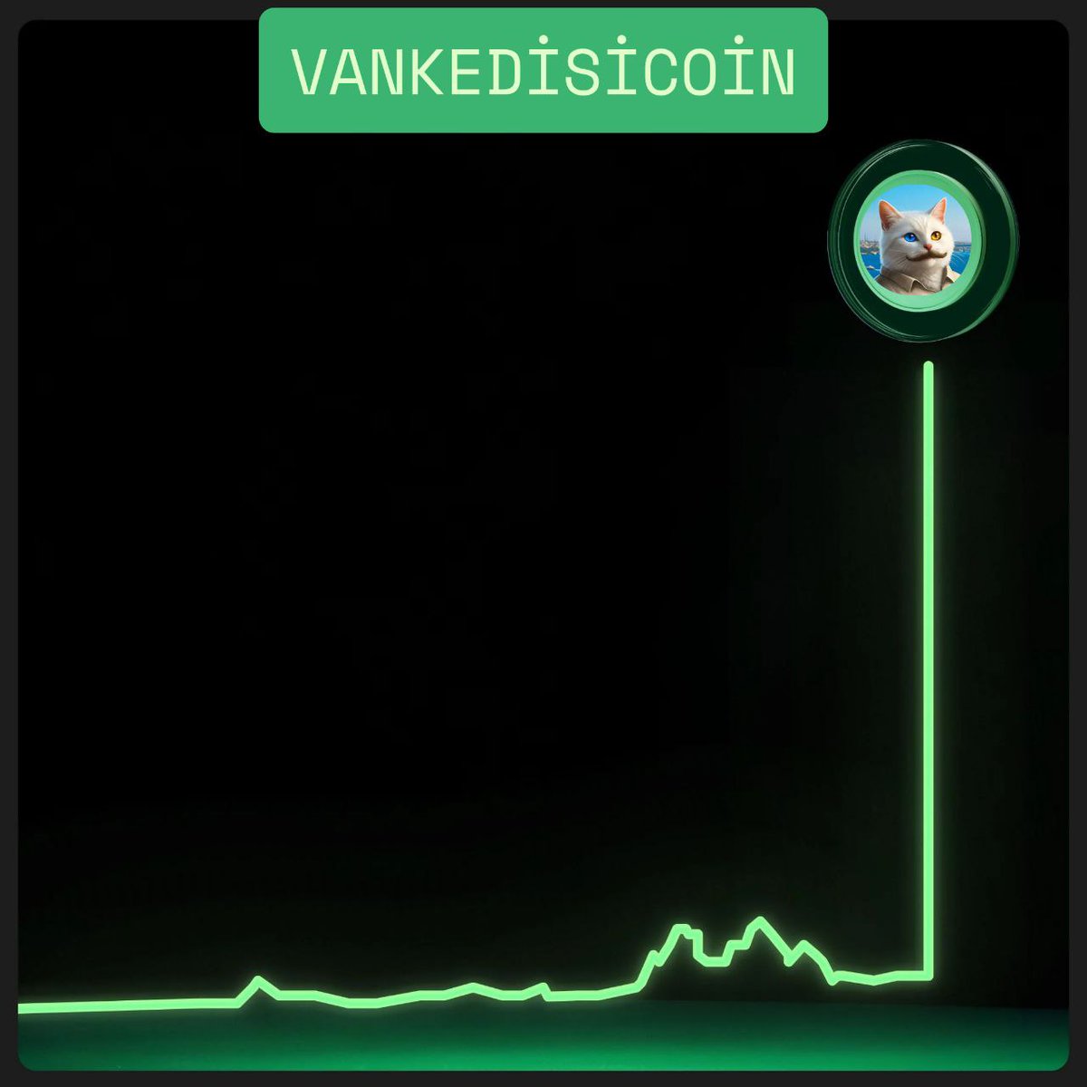 itachi_ep's tweet photo. @kunoo Don't mess with $vankedisi
#vankedisicoin💪 https://t.co/sDc09cwls4