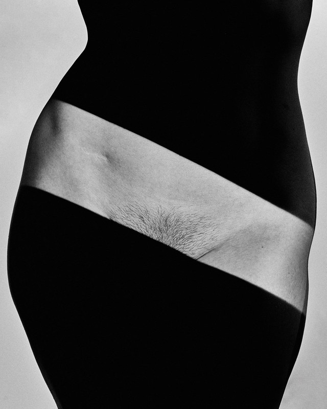 » Hips 01 « Photographer Nicholas Freeman ★13 (<a href="/NickFreemanArt/">Nicholas Freeman Art</a>) #nude #los_angeles #united_states_of_america #strkng #photography #contemporary #bestof strkng.com/en/photographe…
