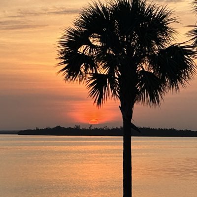 JaredVCaretti's tweet image. #NewProfilePic