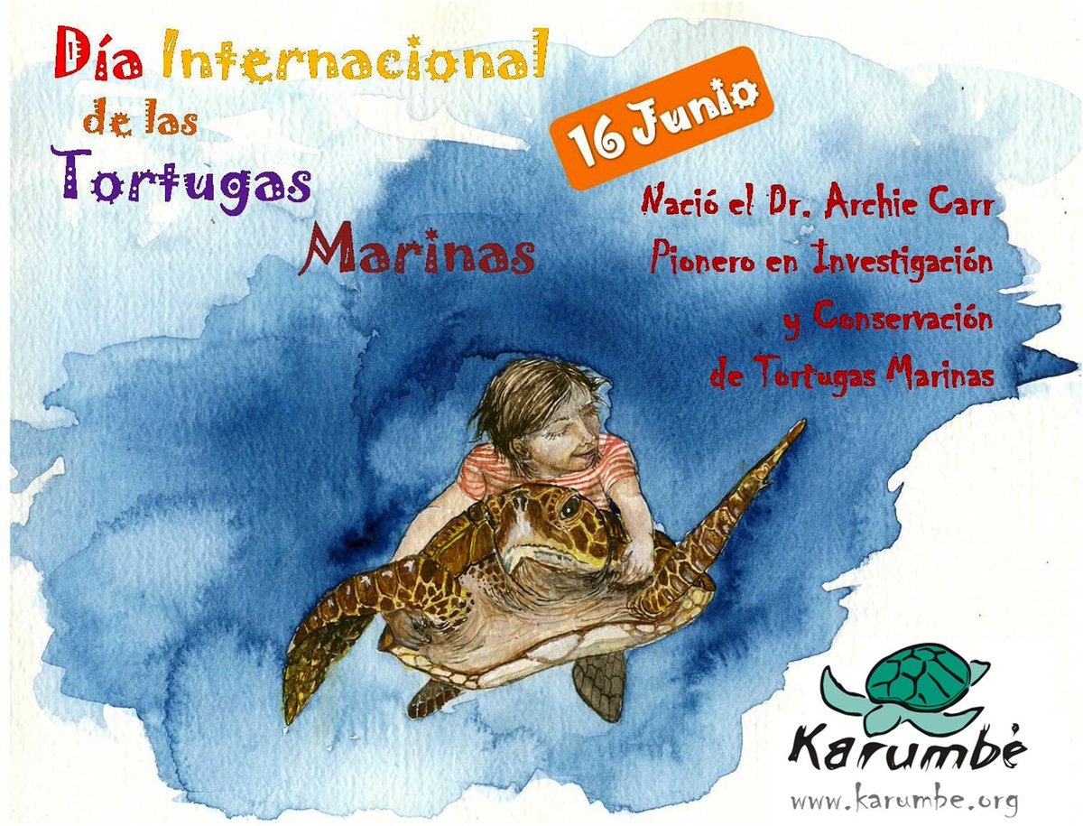 16 de junio. Día Internacional de las Tortugas Marinas.
Tenemos que cuidarlas entre todos.