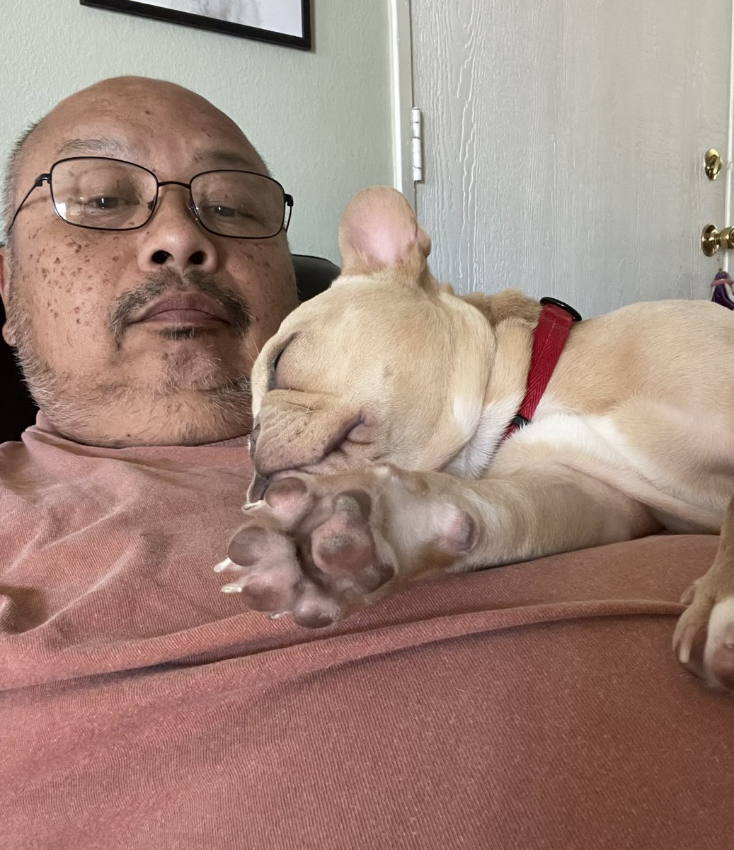 Currently dog sitting or is the dog sitting me 🤣