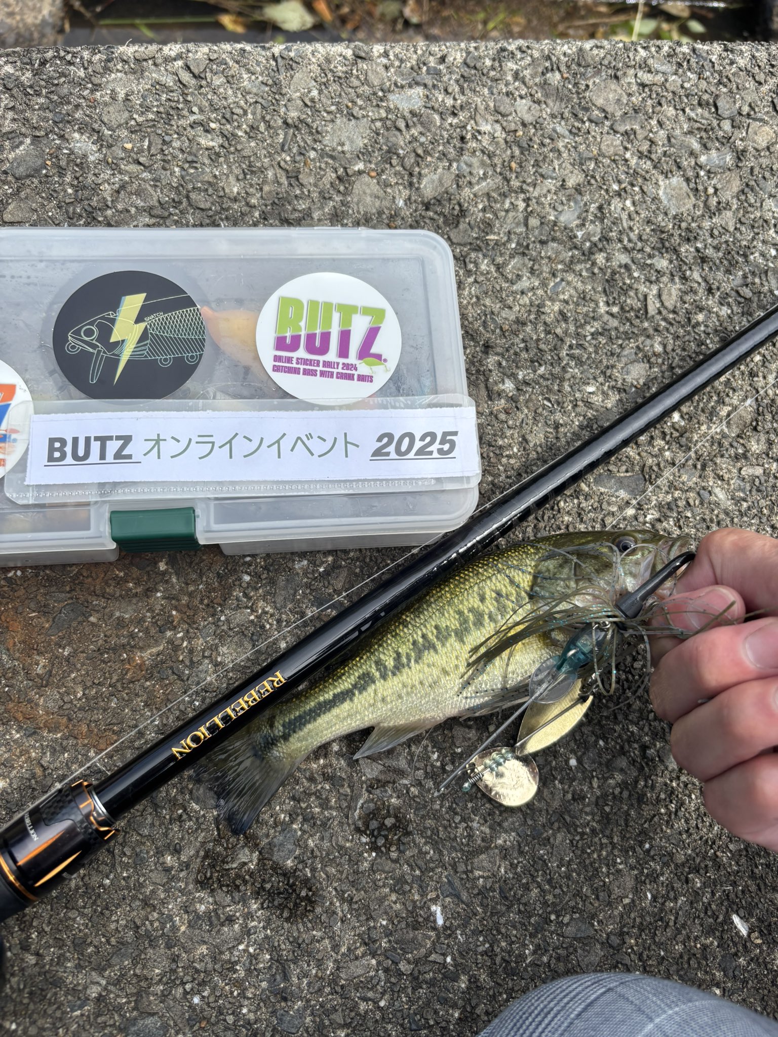 もの凄い勢いです！】BUTZ Snatch SNSで話題沸騰！ | HAMA